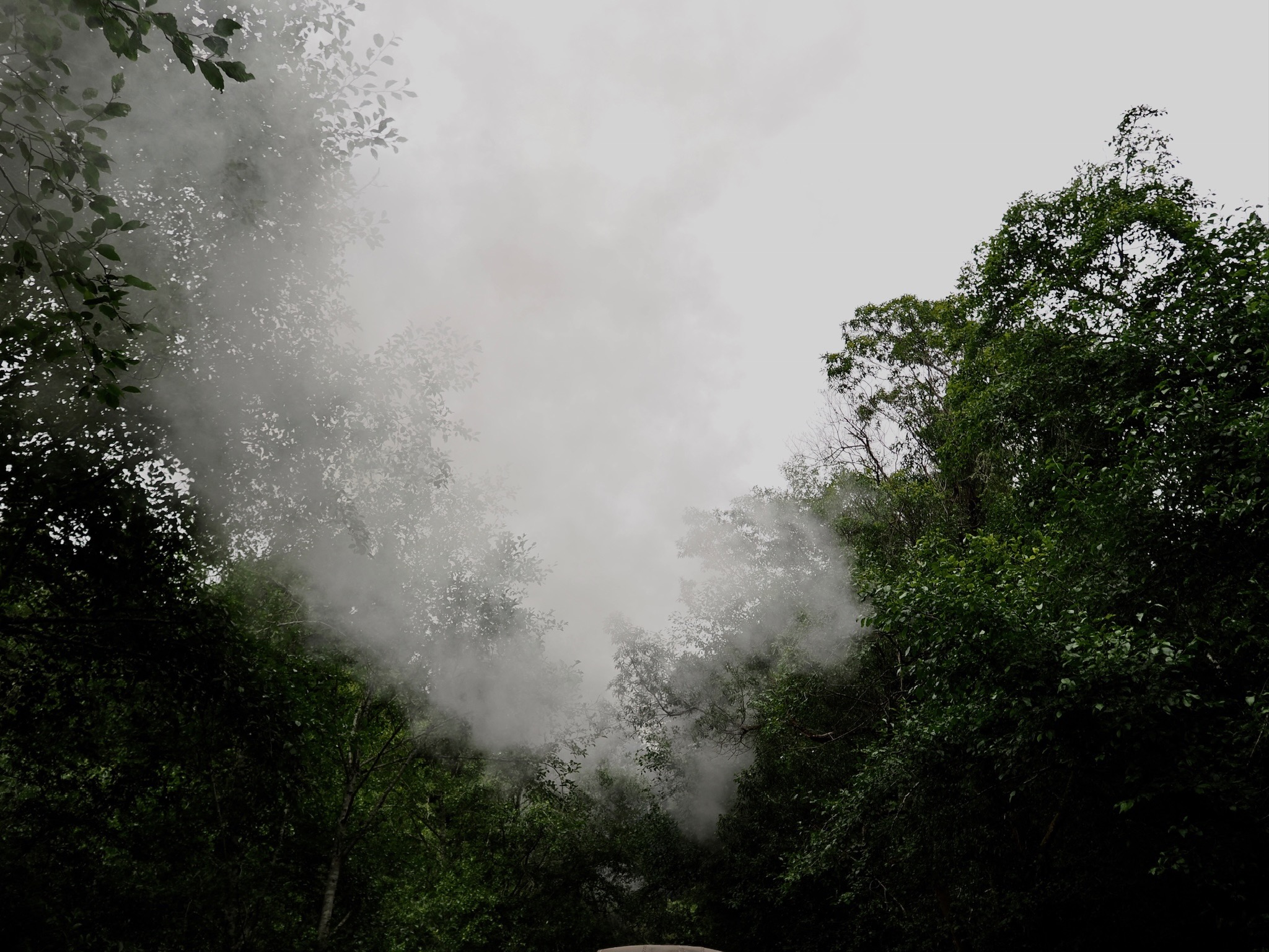 Nature