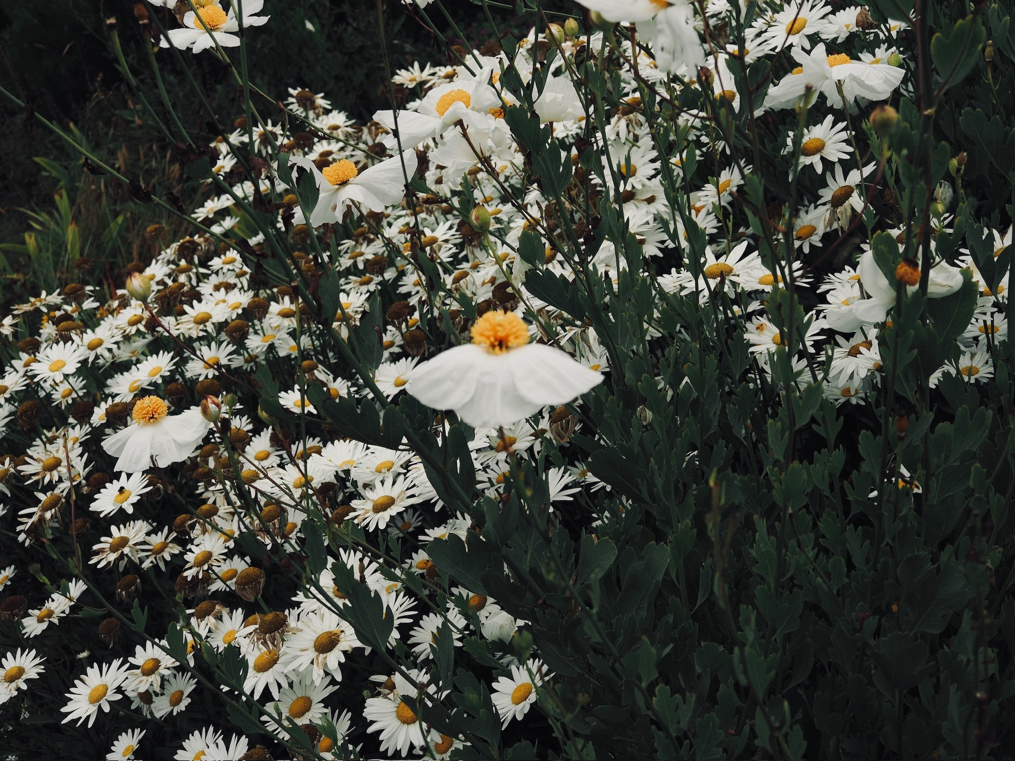 Nature