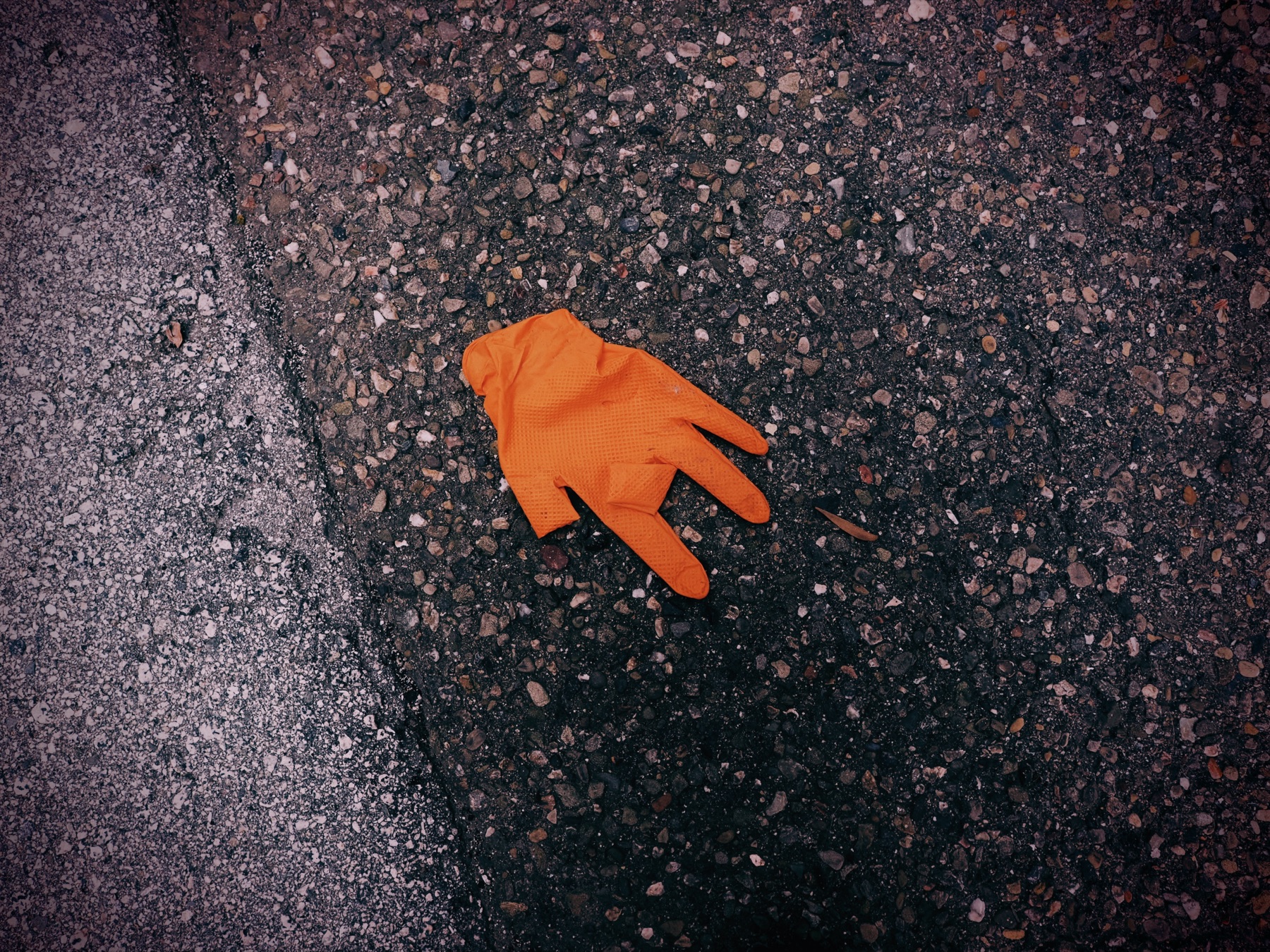 Details collection, photograph 3 — Salt & Shadow